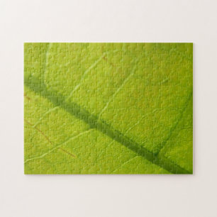Puzzle Photographie de la nature botanique de la feuille 