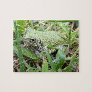 Puzzle Photographie de la nature de la grenouille arboric