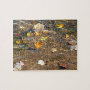 Puzzle Photographie de la nature des feuilles d'automne d