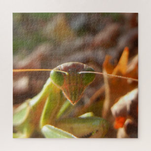 Puzzle Photographie de la nature des insectes proies