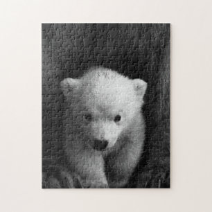 Puzzle Photographie de l'ours animal mère et bébé