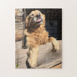 Puzzle Photographie de Silly Golden Retriever