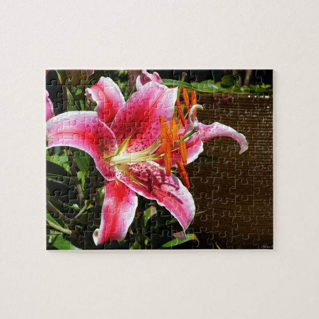 Puzzle Photographie de Stargazer Lily (Horizontal)