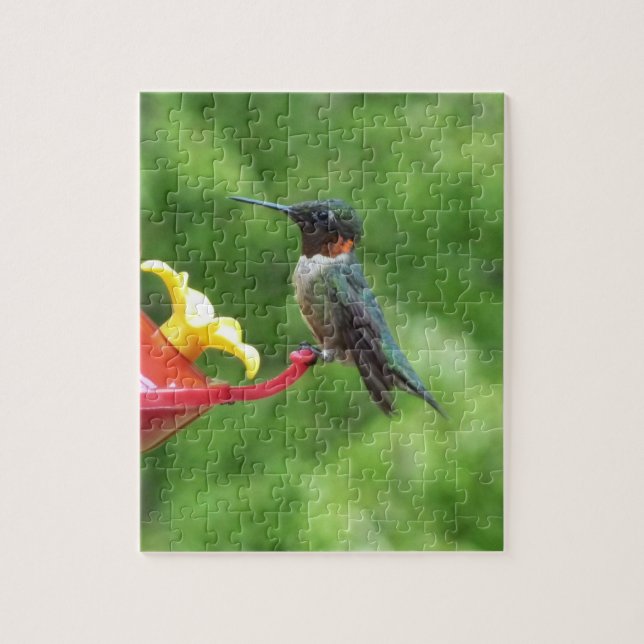 Puzzle Photographie d'oiseau de colibri à gorge rubis (Vertical)