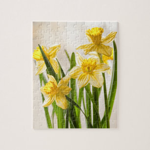 Puzzle Photographie florale :  Jonquilles jaunes de