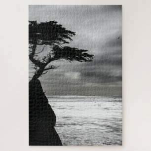 Puzzle Photographie nature noir et blanc