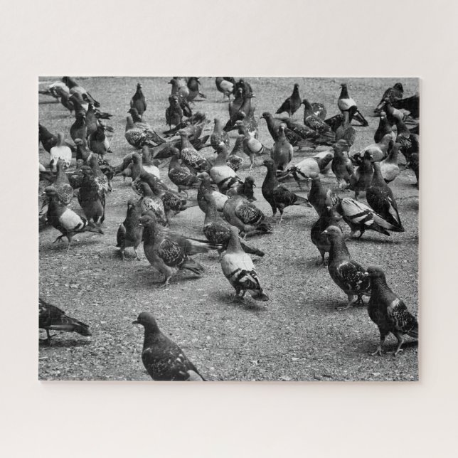Puzzle Photographie noire et blanche de beaucoup de (Horizontal)