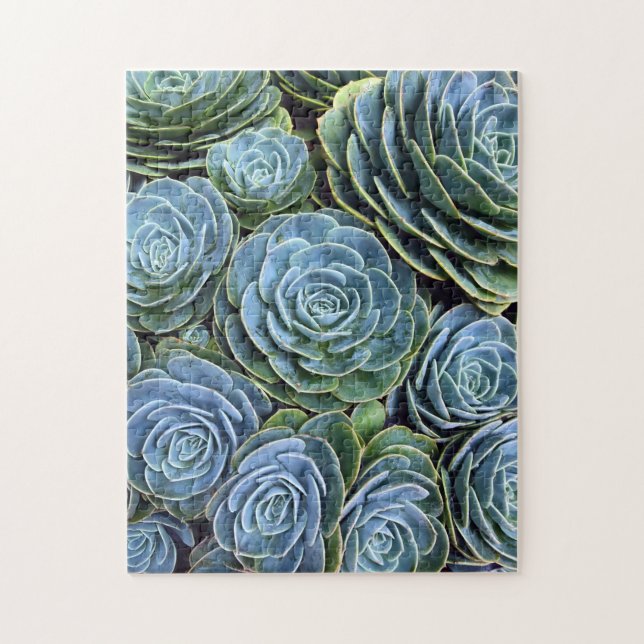 Puzzle Photographie Succulente Jour Cactus Stock (Vertical)