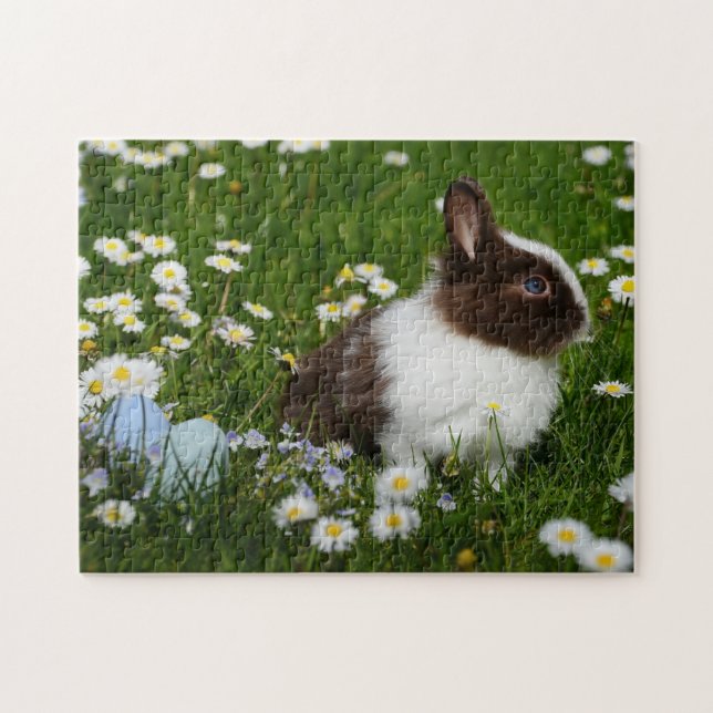 Puzzle Photos de lapin des meilleures photos de faune (Horizontal)