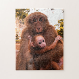 Puzzle Photos de singes animaux mères et bébés