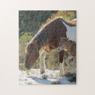 Puzzle Photos du cheval et du poulain