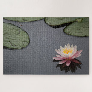 Puzzle Photos Pink Water Lily