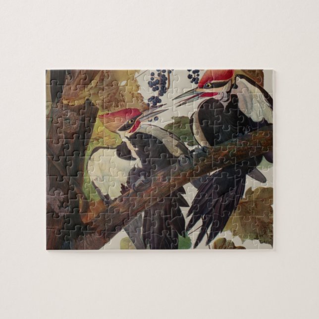 Puzzle Pic Pilé Audubon Oiseau Faune Peinture (Horizontal)