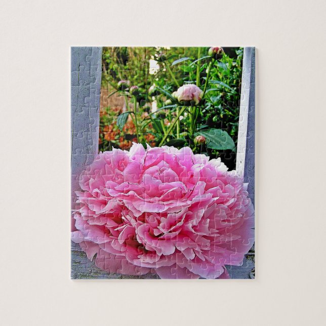 Puzzle Pickets de jardin Rustique rose Peony (Vertical)