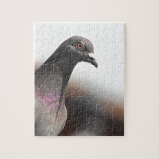 Puzzle Pigeon d'emballage