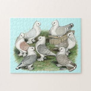 Puzzle Pigeons de frill classique