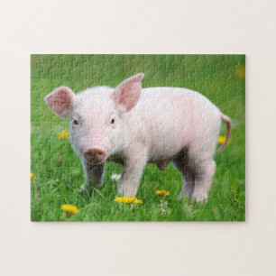 Puzzle Piglet rose mignon et fleurs de pandelion