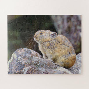 Puzzle Pika