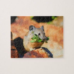 Puzzle Pika Cheval Sur Plantes