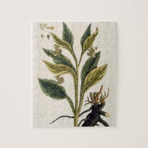 Puzzle Piments rouges (gravure de couleur)