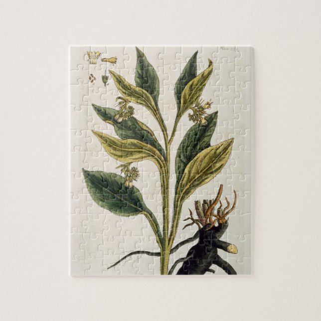 Puzzle Piments rouges (gravure de couleur) (Vertical)