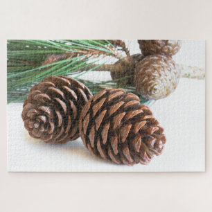 Puzzle Pine branch and cones