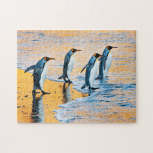 Puzzle Pingouins de roi au lever de soleil