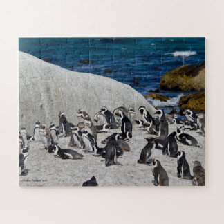 Puzzle Pingouins sur la baie de rochers