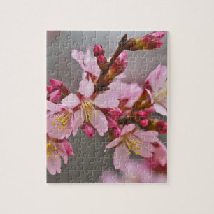 Puzzle Pink Against A Gray Sky Japanese Cherry Blossoms