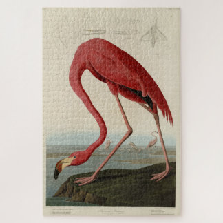 Puzzle Pink American Flamingo Audubon's Birds