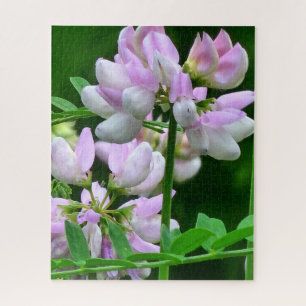 Puzzle Pink and White Flower Buds