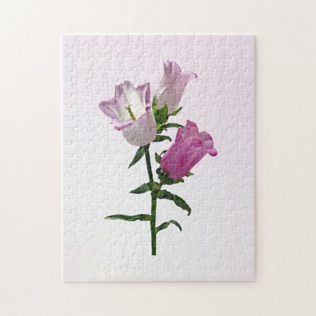 Puzzle Pink Canterbury Bells (Vertical)