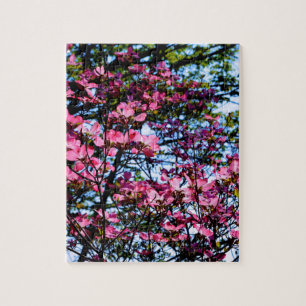 Puzzle Pink flowering Dogwood tree