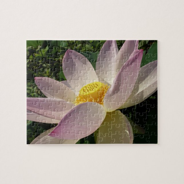 Puzzle Pink Lotus Flower III Summer Floral (Horizontal)