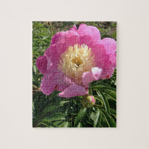 Puzzle Pink Peony Floral Photographie