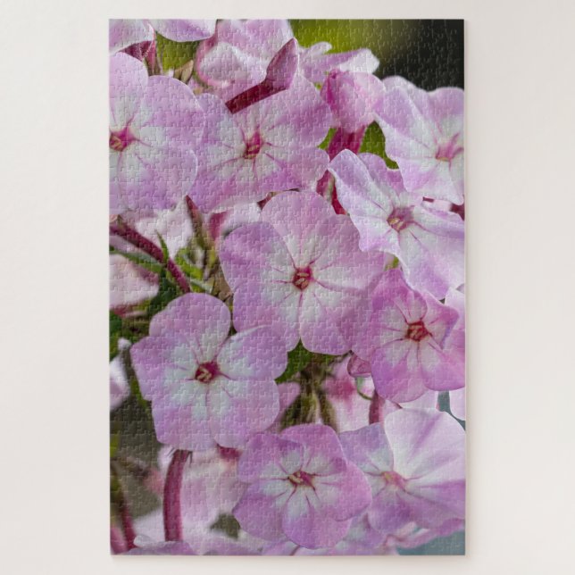 Puzzle Pink Phlox, Canadien Merveilleux (Vertical)