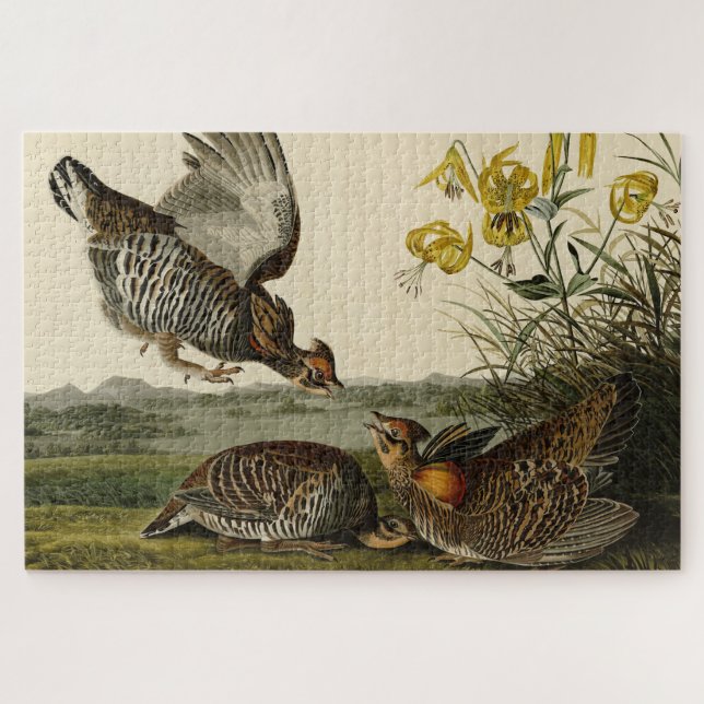 Puzzle Pinnated Grouse (Horizontal)