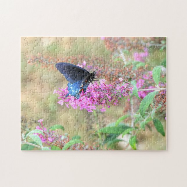 Puzzle Pipevine Swallowtail on Butterfly Bush (Horizontal)