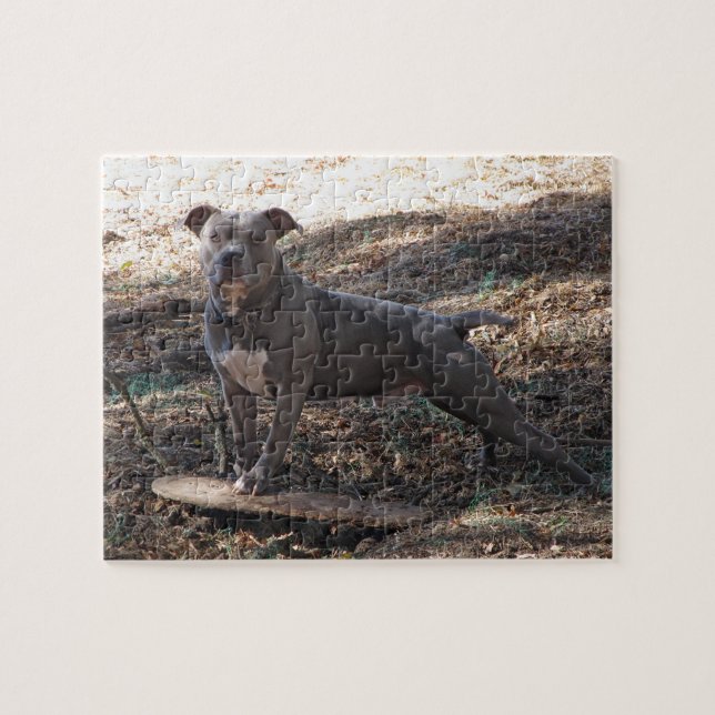 Puzzle Pitbull avec le casse-tête (Horizontal)