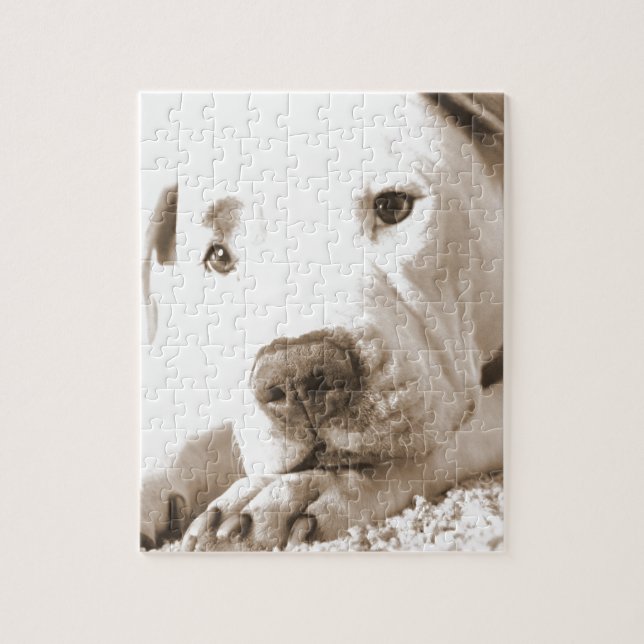 Puzzle pitbull blanc et somnolent acte de haine pas race (Vertical)