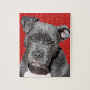Puzzle Pitbull noir Editable