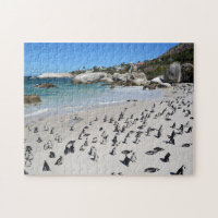 Plage | Afrique du Sud de rochers de pingouins