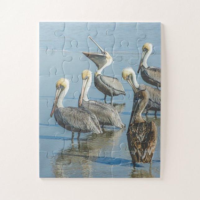 Puzzle Plage de Pelicans Bird Nature Surdimensionnée (Vertical)