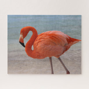 Puzzle Plages tropicales   Flamant rose des Caraïbes, Aru