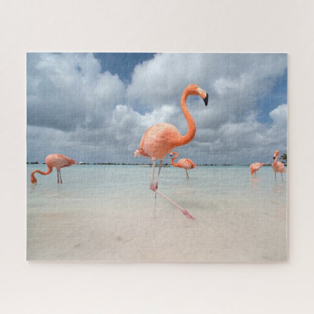 Puzzle Plages tropicales | Flamants roses Beach, Aruba (Horizontal)