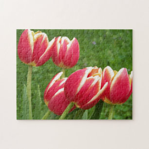 Puzzle Plan rapproché de tulipes