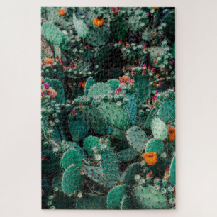 Puzzle Plantes de cactus