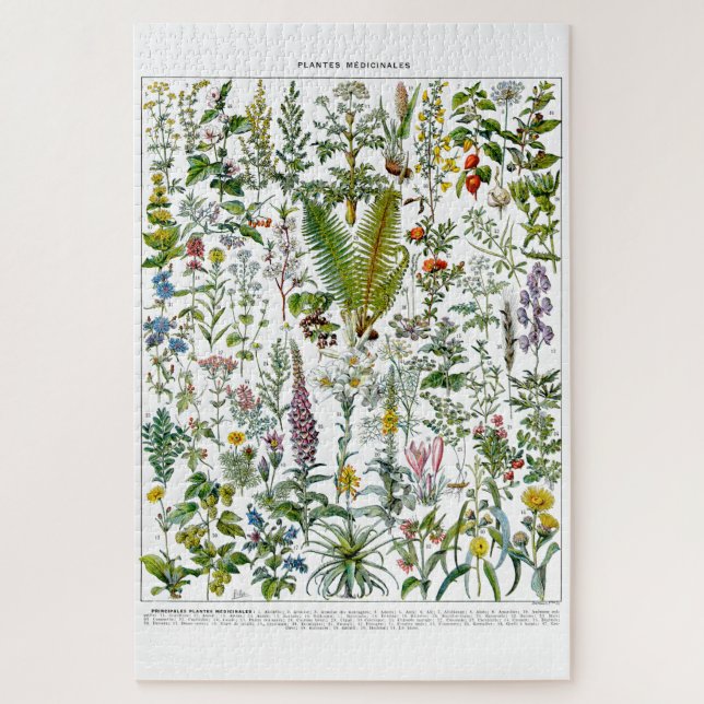 Puzzle Plantes médicinaux et fleurs par Adolphe Millot (Vertical)