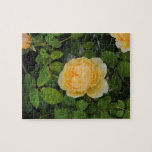 Puzzle Pluies sur Rose jaune