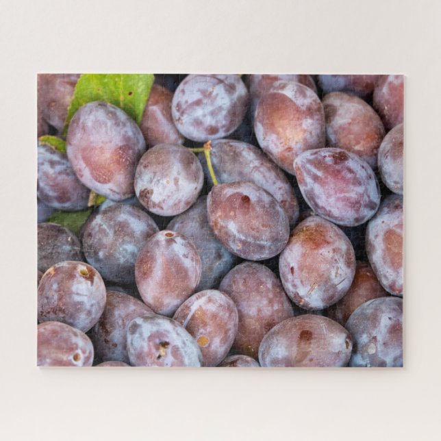 Puzzle Plums européens (Horizontal)